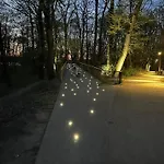 Natura Z Widokiem Na Jezioro * Iława
