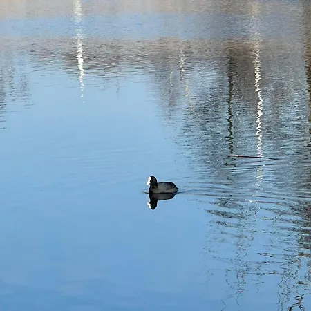 Natura Z Widokiem Na Jezioro Apartmán *