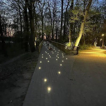 Natura Z Widokiem Na Jezioro * Iława