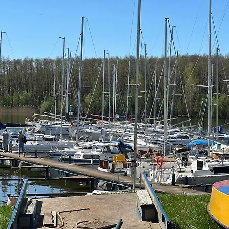 Natura Z Widokiem Na Jezioro